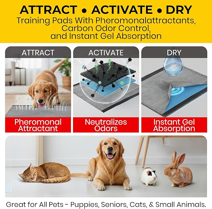 Glad for Pets Activated Carbon Dog Training Pads - Absorbent Large Disposable Dog Pee Pads for Dogs, XL Potty Pads for Dogs, Charcoal Puppy Pads with Adhesive Tabs, Jumbo Dog Pads, 28" x 30", 50 Count