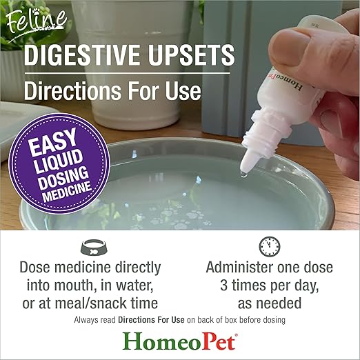 HomeoPet Feline Digestive Upsets, Safe and Natural Cat Digestive Support, 15 Milliliters