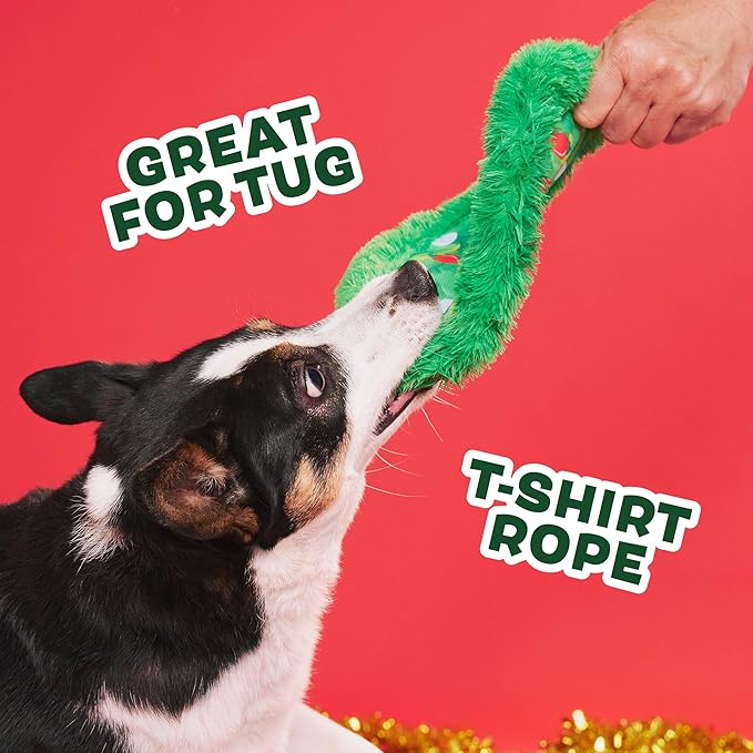 Barkbox Get Lit Wreath Plush Dog Toy - Fetch & Fling Chew Toy Disc with T-Shirt Rope and Crinkle Layers of Dogs and Puppies