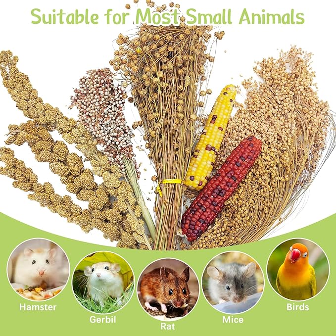 Fhiny Natural Hamster Sprays Edible Hamster Bedding Air-Dried Grain Set for Habitat Decor Mice Cage Accessories for Gerbils Lemmings Parrots Rats and Other Small Animals