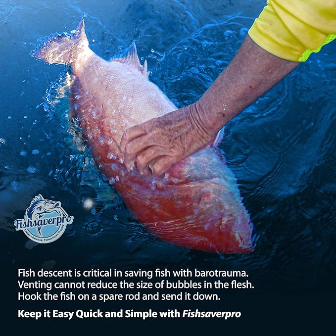 fish descending return device - 2 Pack- Compact & reliable release device built for long life. No mechanical release to fail. Great for red snapper. Unlike venting tools NOAA preferred.