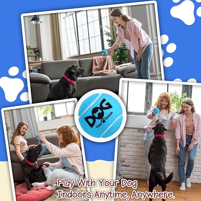 INSUM Squeaky Tennis Balls for Dogs, 6 Pack 2.5" Squeaky Dog Balls for Medium Large Breed, SGS Certified Non-Toxic, Interactive Fetch Toys, Perfect for Outdoor & Indoor Play