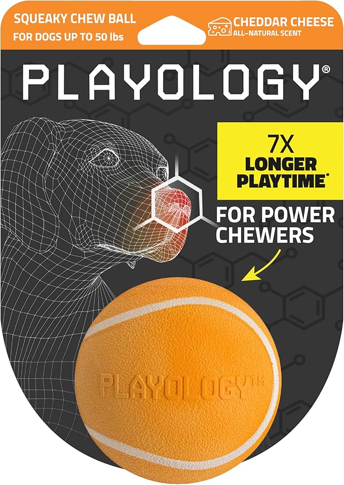 Playology Dog Toys | Squeaky Chew Ball for Dogs| Cheddar Cheese Scented Medium Dog Ball | Bouncy Floating Dog Balls