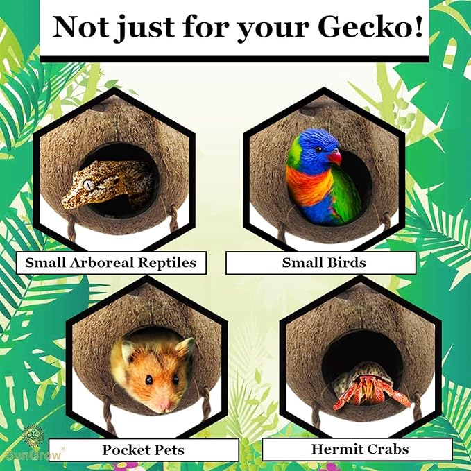 SunGrow Crested Gecko, Snake & Ball Python Coco Hut, Treat & Food Dispenser, Climbing Porch, Hiding, Ideal for Reptiles, Amphibians (with Ladder)