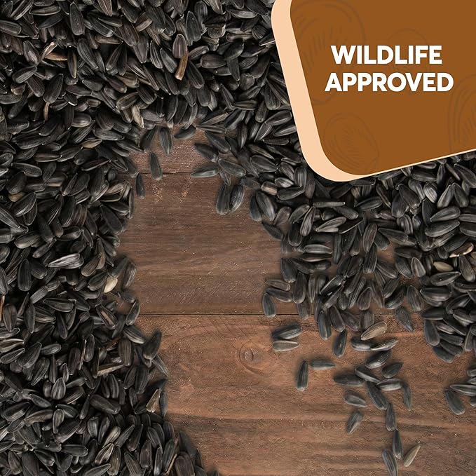 6 Pound Black Oil Sunflower Seeds for Birds – Premium Wildlife Food – Non - GMO -Grown in the USA - Black Oil Sunflower Seeds for Wild Animals and Backyard Feeders