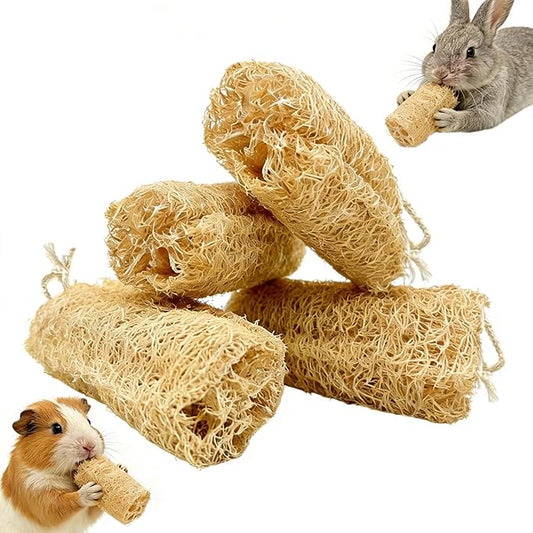 4 PCS Rabbit Chew Toys Natural Loofah Guinea Pig Treats Bunny Stuff Cage Accessories for Chinchillas Guinea Pig Rabbits (4PCS with a Rope)