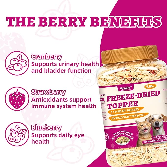 Wellix Freeze Dried Cat & Dog Treats - High Protein Cat Food Toppers with 3 Berries Added (Blueberry/Strawberry/Cranberry for Dogs) - Cat Treats for Indoor Cats 7.05oz