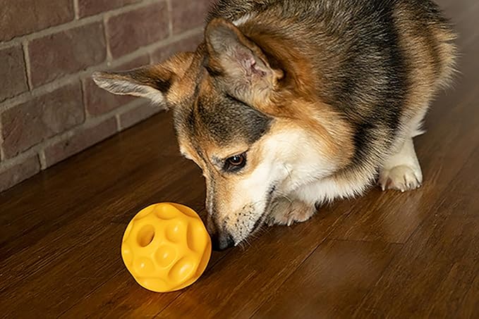 Starmark Treat Dispensing Tetraflex Dog Toy Large