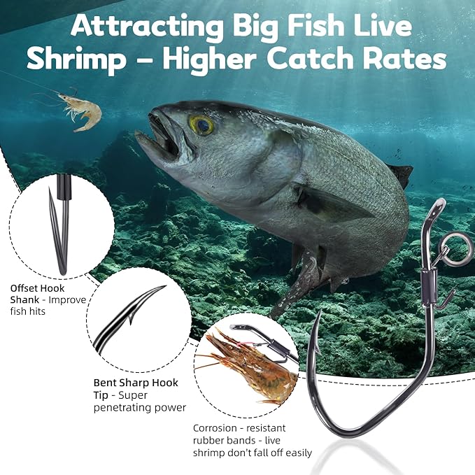 9KM DWLIFE Live Shrimp Hooks 10/15PCS Double Fishing Hooks Shrimp Hooks Fishing Saltwater Keep Alive Bait for Catfish Bass