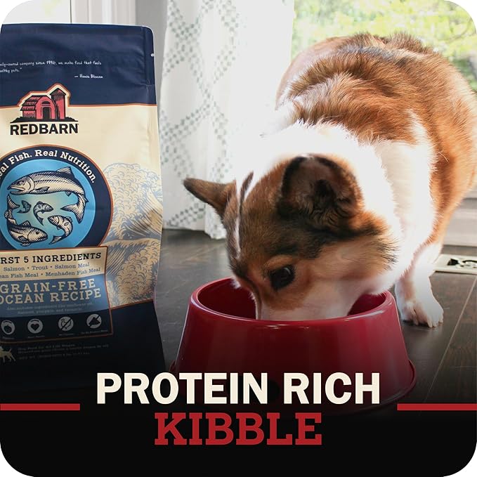 Redbarn Grain-Free Large Breed Dog Food Kibble - Beef & Lamb Recipe - Made in USA No Chicken Recipe with Functional Ingredients to Support Healthy Heart, Joints, Digestion, Skin & Coat - 28lb