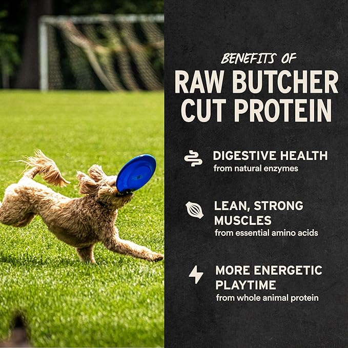 Vital Essentials Freeze Dried Bully Sticks Dog Treats | Premium Quality, Long Lasting | Grain Free Treats for Dogs, (3 Count) 1.4 oz Bag