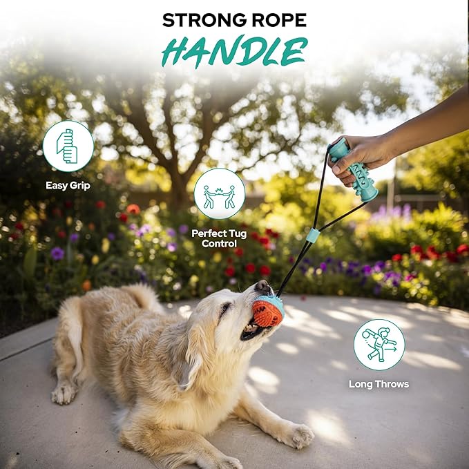 Tail Town Dog Toy Ball with Handle, TPR Rubber Treat Dispensing Ball for Dogs, Tug of War & Fetch Toy, Textured Chew Ball for Small Medium Large Dogs