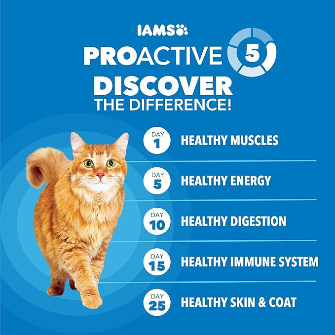 IAMS Proactive Health Healthy Weight Adult Dry Cat Food Chicken Flavor, Adult Cat Food Dry Recipe, 7 lb. Bag