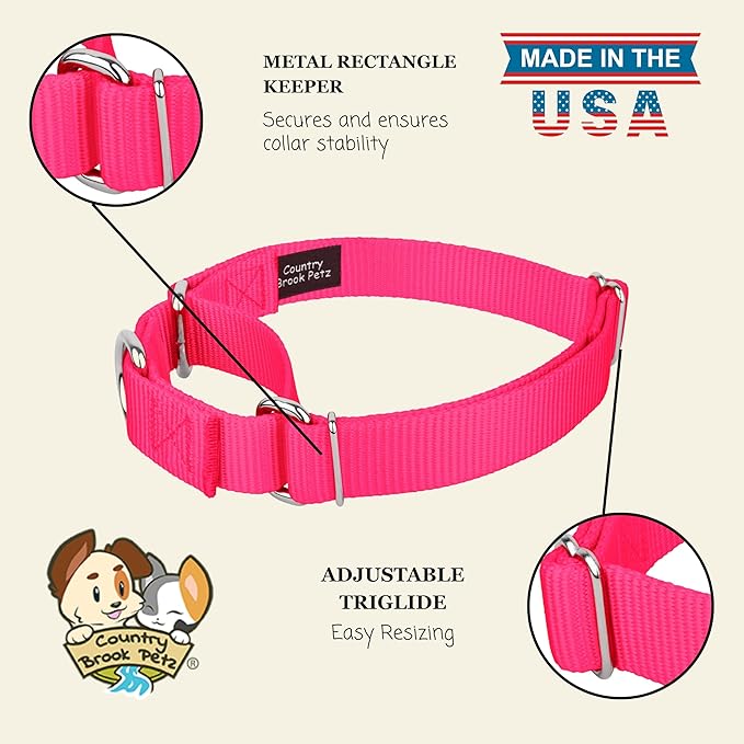 Country Brook Petz - Martingale Dog Collar - Heavy-Duty Training Collar with No Buckle - Service Dog Collar for All Pups - 20 Vibrant Colors (Hot Pink, 1 Inch, Medium)