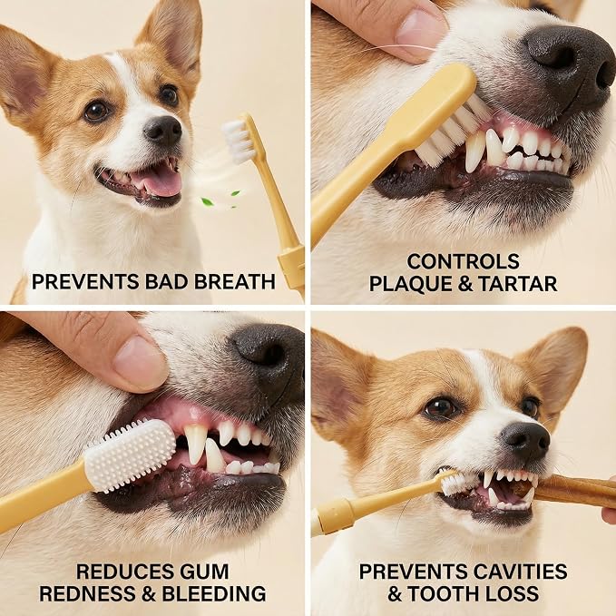 Dual-Head Pet Toothbrush for Small Dogs, Cats, Rabbits & Hamsters - Soft-Bristled Animal Oral Care Toothbrush (Blue)