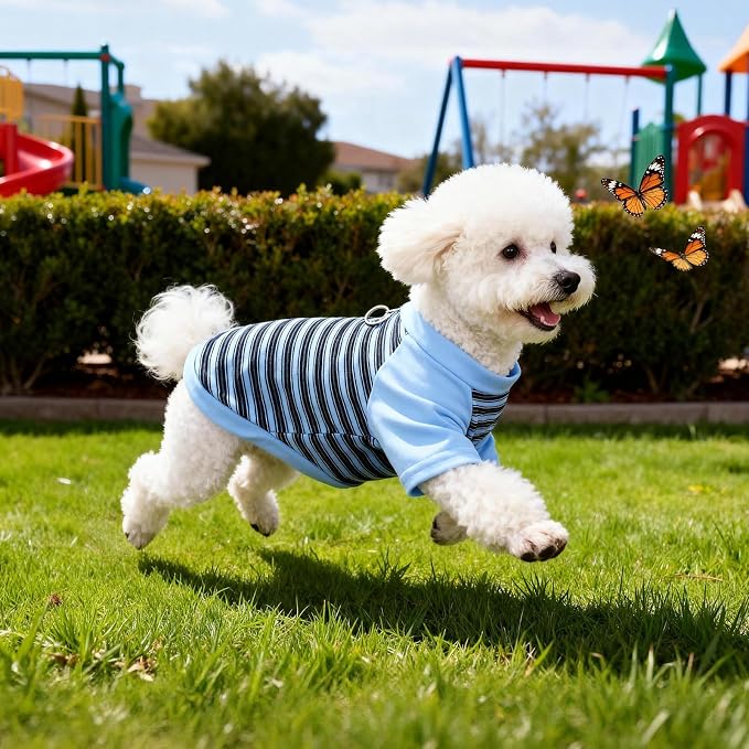 Pistha Dog Tshirt Striped Shirts for Dogs Clothes Stretchy Puppy T-Shirts with Metal Buckle for Small Medium Dog Boys Girls (Blue, XXXX-Large)