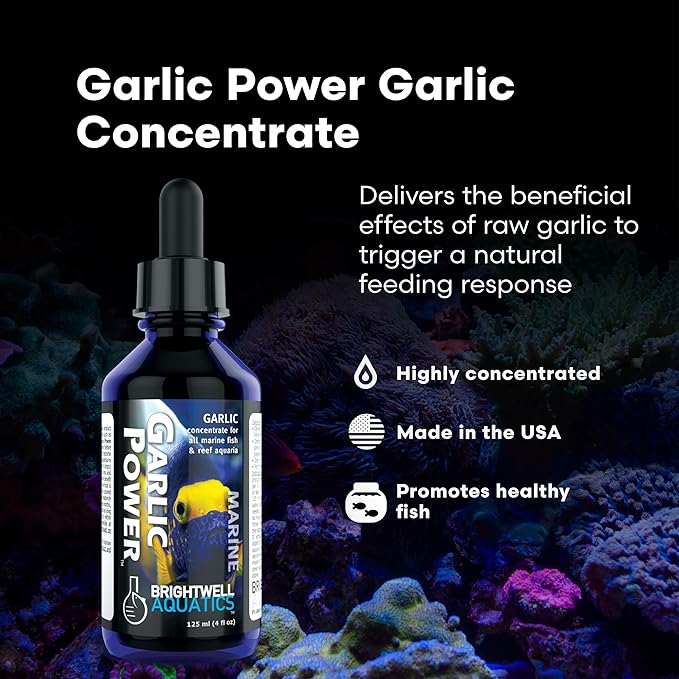Brightwell Aquatics GarlicPower Garlic Extract for Aquarium Fish Food – Enhances Feeding Response – Boosts Nutrition – Ideal for Marine & Reef Tanks, 125 ml