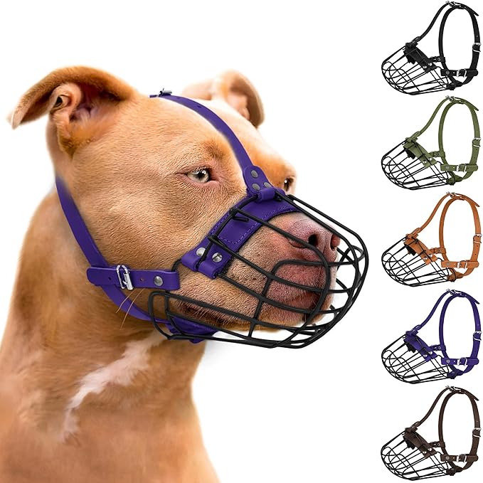 Pitbull Dog Muzzle Breathable Metal Basket for Large Dogs Amstaff Staffordshire Terrier Secure Wire Mask Adjustable Durable Leather Straps Biting Chewing Barking (Purple)