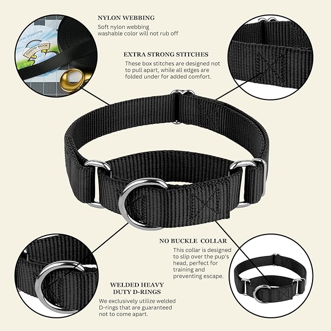 Country Brook Petz - Martingale Dog Collar - Heavy-Duty Training Collar with No Buckle - Service Dog Collar for All Pups - 20 Vibrant Colors (Black, 5/8 Inch, Extra Small)