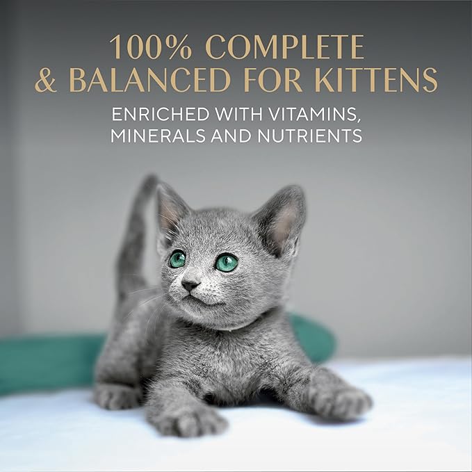 Sheba Perfect Portions Kitten Wet Food,Pate Cat Food Wet Entree,Chicken Recipe and Salmon Recipe,2.6 oz. -Pack Trays (,24 Servings),12 Count (Pack of 4)