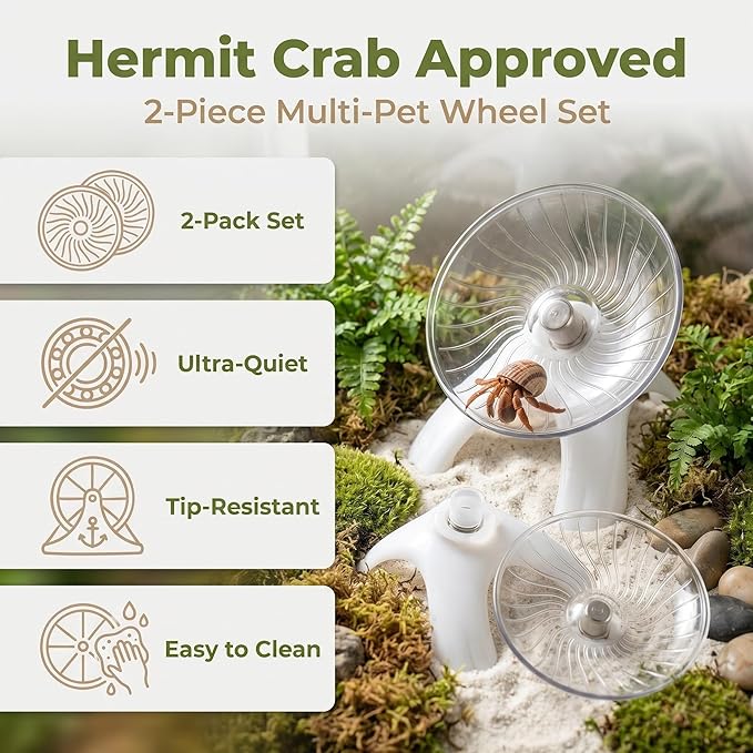 2Pcs Silent Hermit Crab Running Wheel Toy, Hamster Exercise Wheel, Small Animal Climbing Toy for Gecko, Jumping Spider, Rats and Hermit Crabs Cage & Tank Accessory (Diameter 5.2")