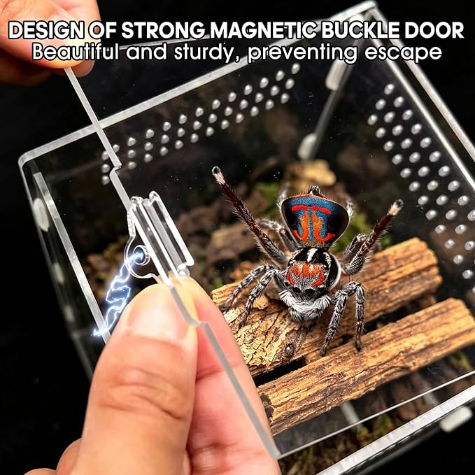 Jumping Spider Enclosure, Insect Terrarium, Bug Cage, Acrylic Terrarium for Tarantula, Snail, Praying Mantis, Frog, and Small Reptiles, Includes Tweezer and Bowl, (5.9" x 5.9" x 9.8")