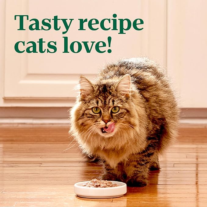 Nutro Perfect Portions Wet Cat Food Cuts in Gravy Chicken & Salmon Recipe, Cat Food Wet Recipe, 2.64 oz. Twin-Pack Trays (24 Count)