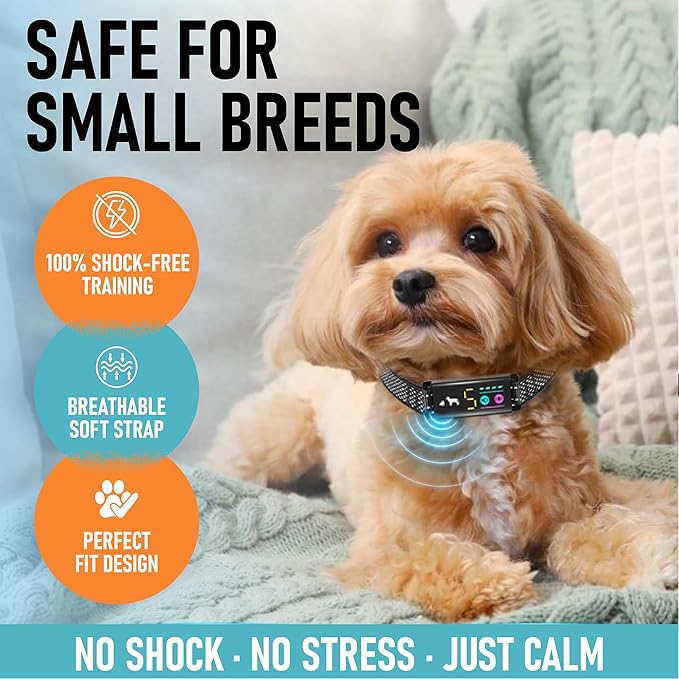 No Shock Bark Collar for Small Dogs 8-40 lbs - Beep & Vibration, Smart Screen, 5 Sensitivity, Anti-False Trigger, Magnetic Rechargeable, IP67 Waterproof, Black/Grey