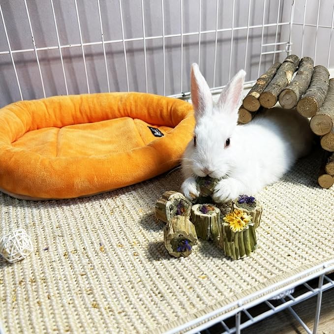 200G Rabbit Chew Toys Guinea Pig Treats Natural Papaya Wood Chew Sticks for Teeth Bunny Guinea Pig Hamster Chinchilla