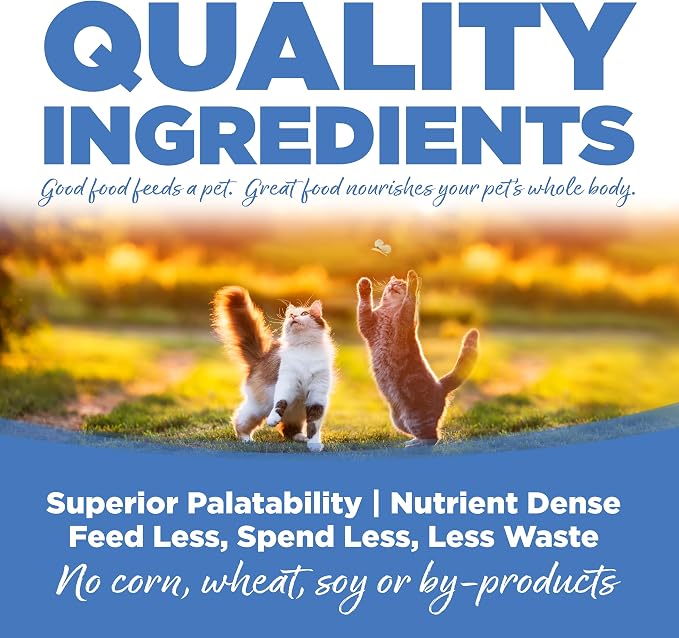 NutriSource Cat & Kitten Chicken Meal Salmon & Liver Dry Food, 12 lb | Probiotic & Prebiotic Support, Grain Inclusive, All Life Stages
