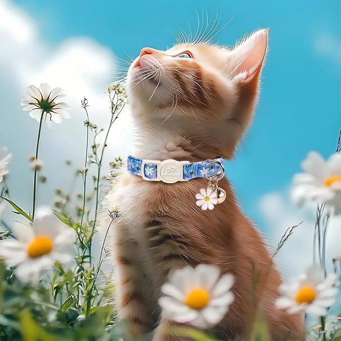2 Pack Cute Cat Collars - Blue Plaid & Floral Breakaway Cat Collars, Adjustable Boy Girl Kitten Safety Collar for Small Dogs Puppy, Everyday Pet Collar with Bell & Pendant