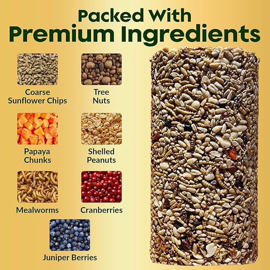 Bugs, Nuts & Berries Bird Seed Cylinders with Hole – Wild Bird Food for Blue Birds, Woodpeckers, Cardinals & More – Premium Protein-Rich Blend, No Fillers – USA Made (4" x 7.75") 2 Pack