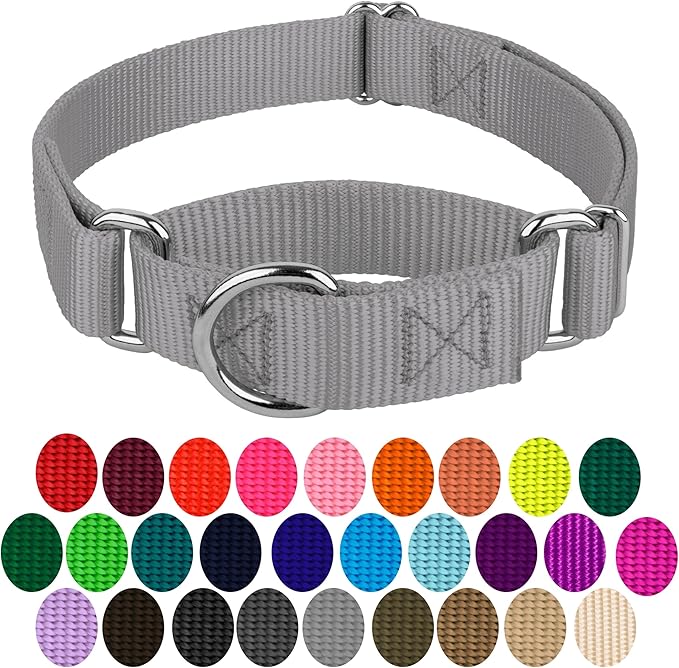 Country Brook Petz - Martingale Dog Collar - Heavy-Duty Training Collar with No Buckle - Service Dog Collar for All Pups - 20 Vibrant Colors (Silver, 3/8 Inch, 2XS)