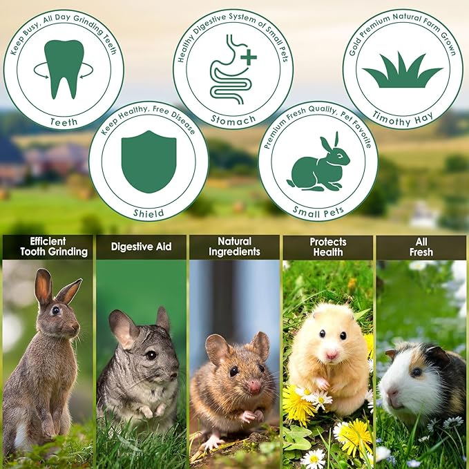 ERKOON 100% Edible Premium Timothy Hay Chew A Bowl for Rabbits, Chinchilla Treats, Chew Toys for Teeth Guinea Pigs and Mice (Purple)