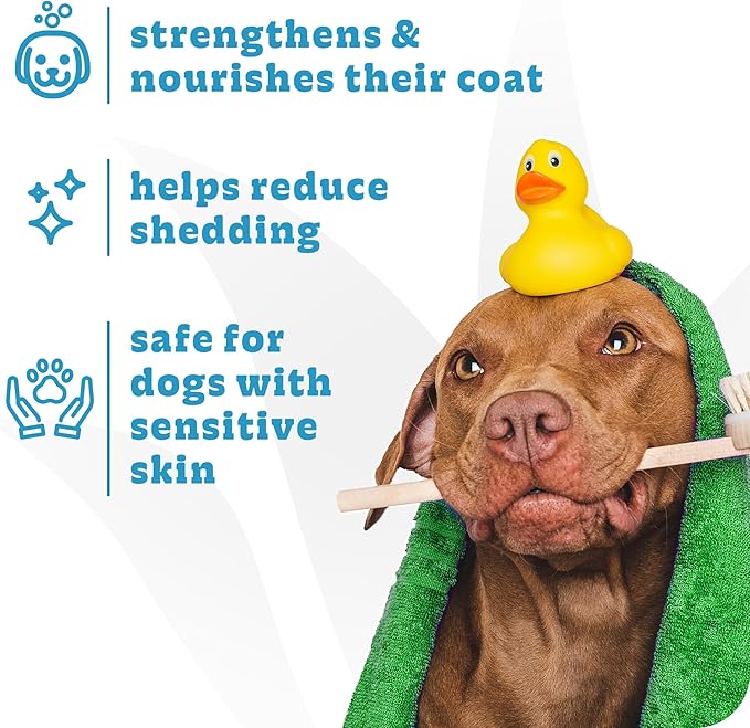 Espree Simple Shed Dog Treatment, Shed Control Dog Conditioner, Helps Reduce Excess Shedding, Moisturize, and Strengthen Coat, Gentle for Sensitive Skin, Gallon