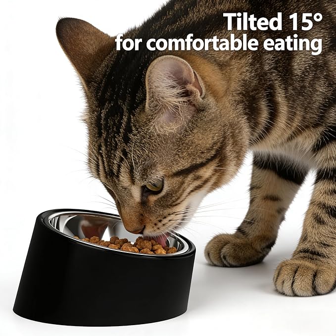 No-Spill Non-Skid for Large Breeds: 15° Tilted Feeder for with Cones or Long Ears - Detachable 2-in-1 Stainless Steel Elevated Dish, Easy Access, Black (Size L)