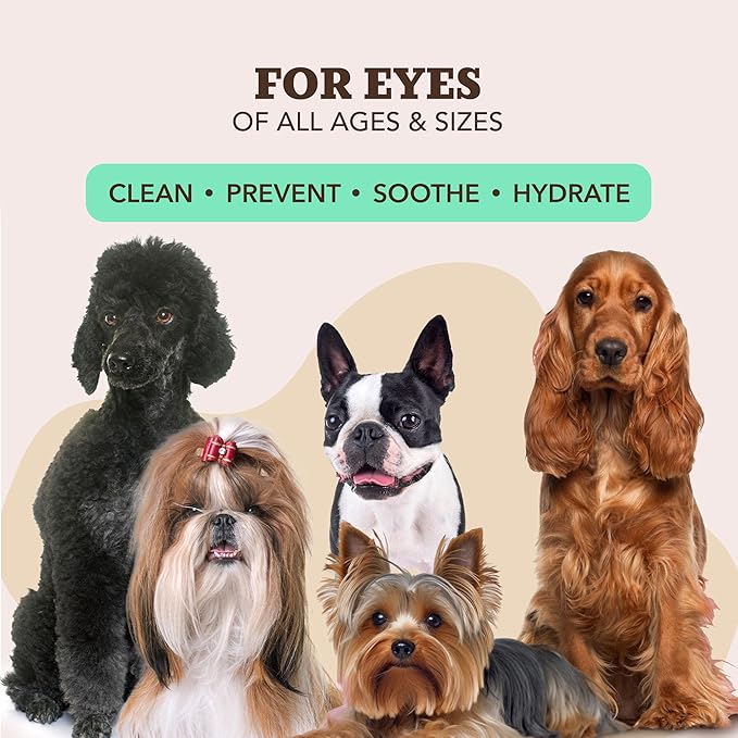 Natural Dog Company Snout Wipes for Dogs – Cleansing & Moisturizing Care for Dry, Cracked Snouts, Soothing Grooming Formula with Kukui Oil, 50 Count