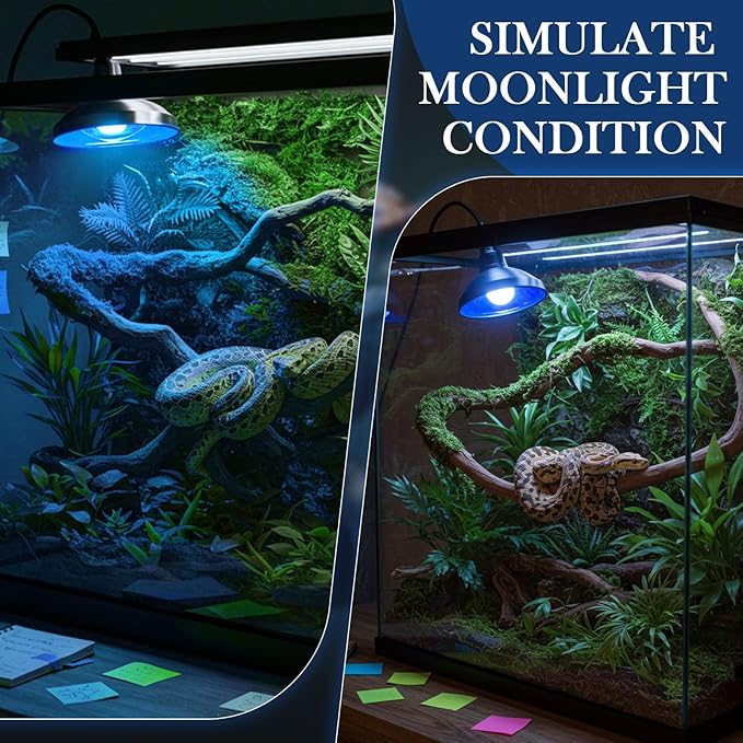 Retisee 2 Pack 100 Watt Heat Lamp Bulbs for Reptiles 120v Blue Light Heat Bulb Day and Night Reptile Bulb for or Chicks, Puppies, Bearded Dragon, Snake, Turtle
