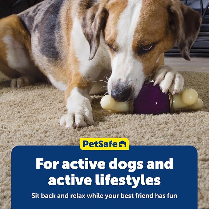 PetSafe Busy Buddy Bouncy Bone, Treat Holding Dog Toy, Large, Best for Dogs Over 75 Lb.