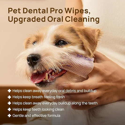 HICC PET Pro Dog Teeth Cleaning Finger Wipes for Dogs & Cats, No-Rinse Daily Oral Care Wipes, Soft Textured Finger Wipes for Teeth & Gum Cleaning, Dog Toothbrush Alternative, 50 Count, Unscented