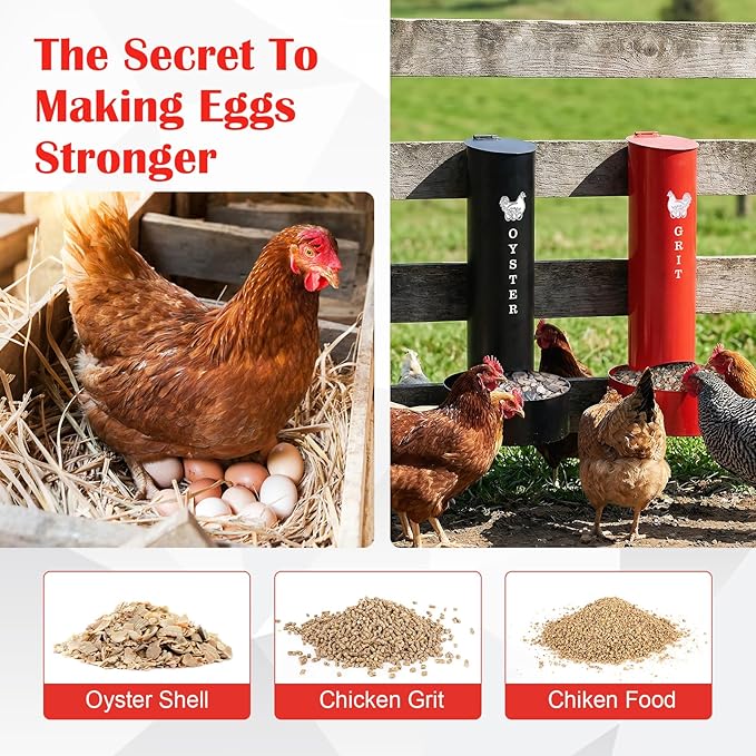 2 Chicken Oyster Shell Feeder and 2 Grit Feeder and 12 Automatic Chicken Waterer Cup, Metal Hanging Poultry Feeders and Plastic Poultry Water Cup, Coop Accessories, Black+Red