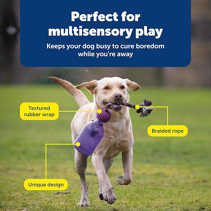 PetSafe Busy Buddy Tug-A-Jug Dog Toy Slow Feeder and Trainer Small
