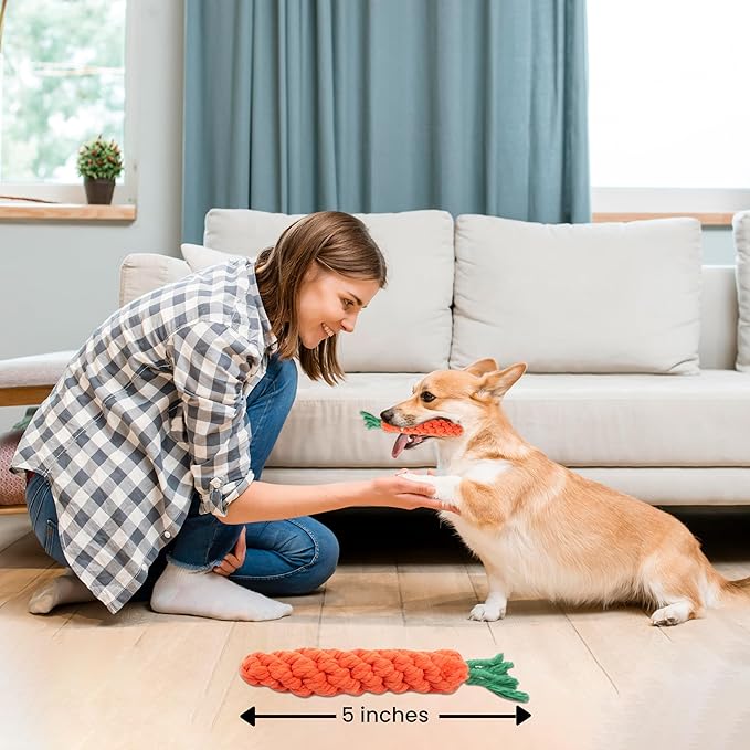 Vaulted Skulls & Co Carrot Dog Toy Small 5" | Carrot Shaped Dog Toy | Teething for Dogs | 5 Inches
