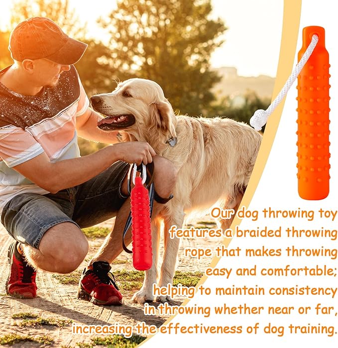 Blueweenly 6 Pcs Dog Bumper Toy for Water Retrieving Plastic Puppy Training Dummy Dog Float Toy Lightweight for Float on The Water Pool Outdoor Training Hunting Fetching (Orange)
