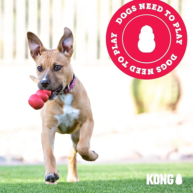 KONG Stuff-A-Ball - Durable Chew Toy for Dogs - Natural Rubber Dog Toy for Dental Health - Pet Toy for Chewing & Teeth Cleaning - Stuffable Toy for Dog Treats & Snacks - for Small Dogs