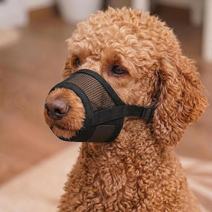 Dog Muzzle for Small Dogs – Adjustable Soft Velcro with Air Mesh Small Dog Muzzle | Perfect for Barking and Biting Prevention | Puppy Mussels for Grooming Allows Panting & Drinking