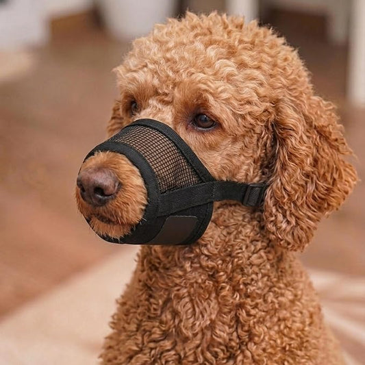 Dog Muzzle for Small Dogs – Adjustable Soft Velcro with Air Mesh Small Dog Muzzle | Perfect for Barking and Biting Prevention | Puppy Mussels for Grooming Allows Panting & Drinking