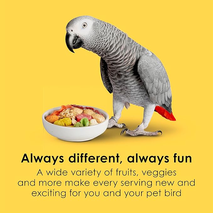 Kaytee Fiesta Parrot Food 25 pound bag