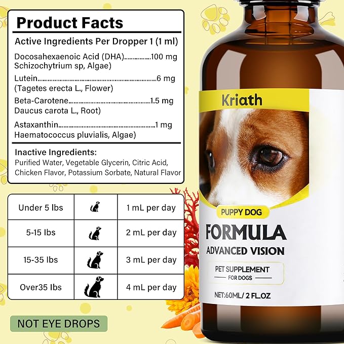 Advanced Vision Formula for Dogs – Liquid Formula with DHA, Lutein & Astaxanthin – Helps Maintain Clear, Healthy Eyes & Vision – 2 oz (60 mL) Oral Drops