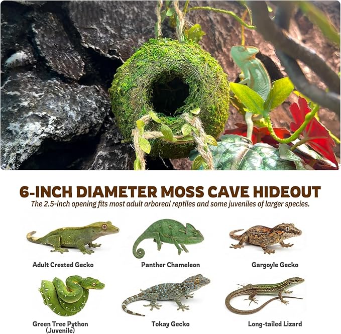 Moss Cave Hideout with Hanging Rope & Hemp Climbing Ladder – Natural Reptile Tank Decor Accessories for Crested Geckos, Chameleons, Tree Frogs, Leopard Geckos & Snakes. Terrarium & Vivarium Decor (6")